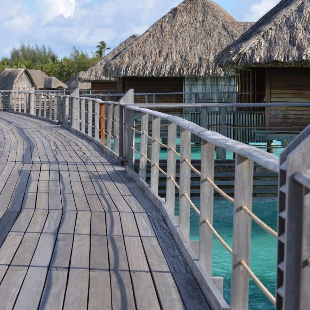 Meet your Posher, Taryn